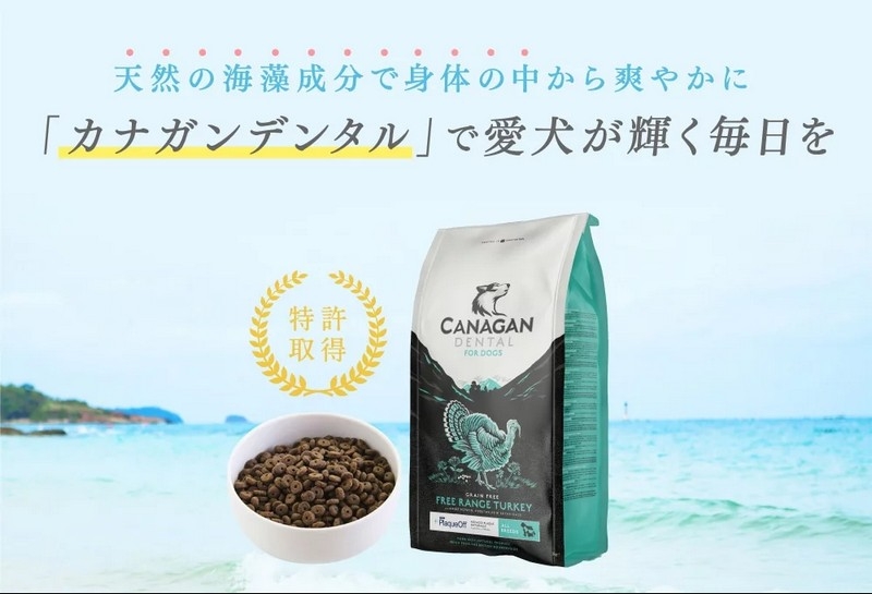 �g�̂̒����爤���̃L���C���T�|�[�g�ł���́H�y�J�i�K���f���^���z���T�C�g